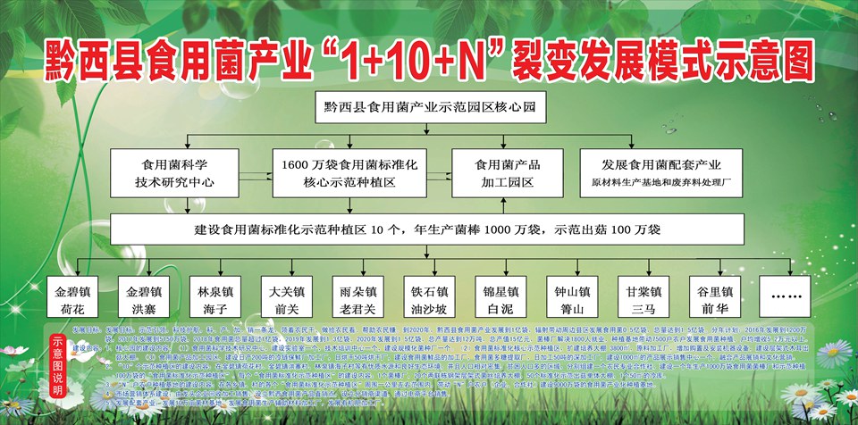 1+10+N裂變發(fā)展模式